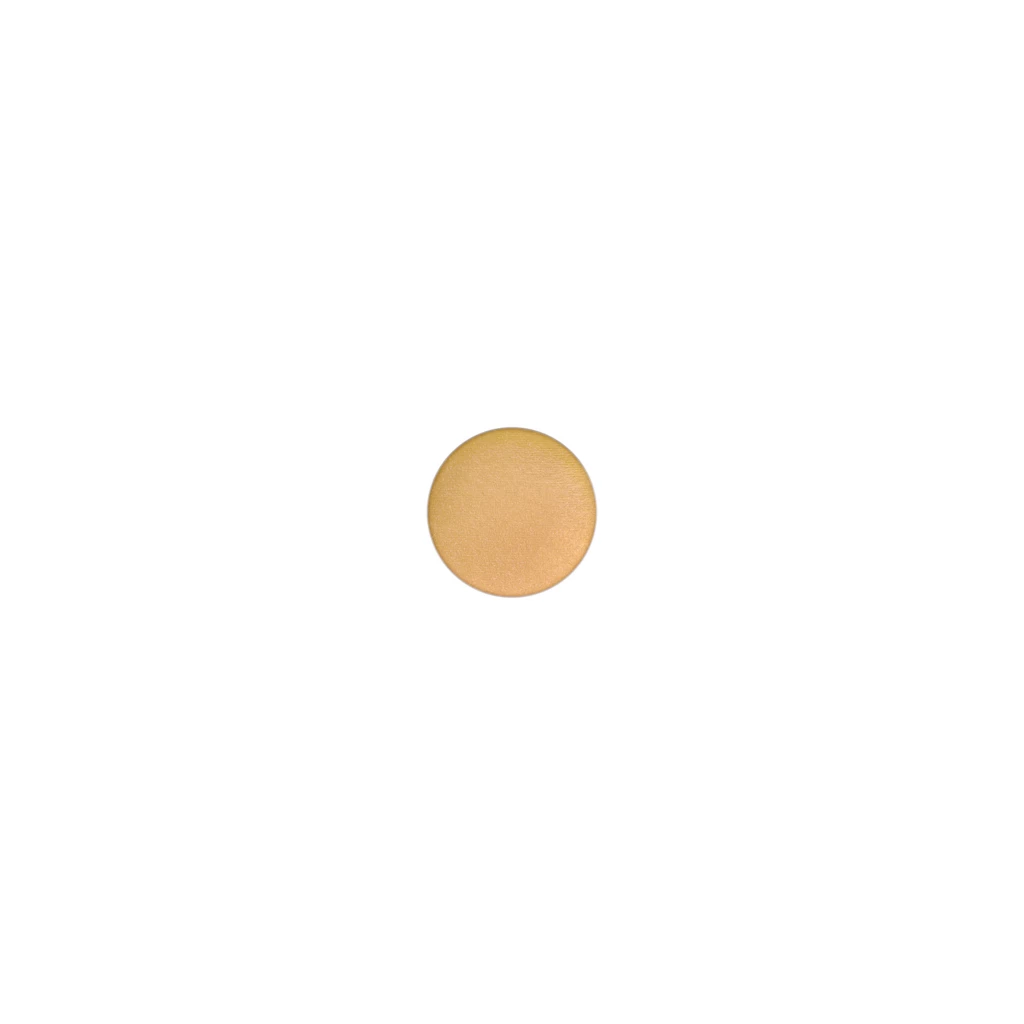 Eye Shadow Pro Palette Refill Goldmine