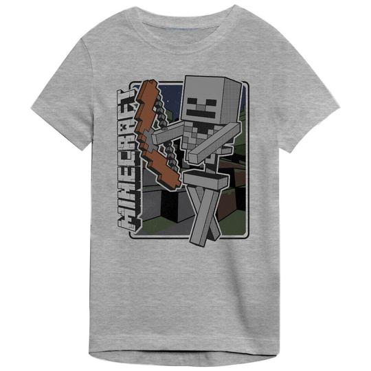 Minecraft Vintage Skeleton 12-13 Age​