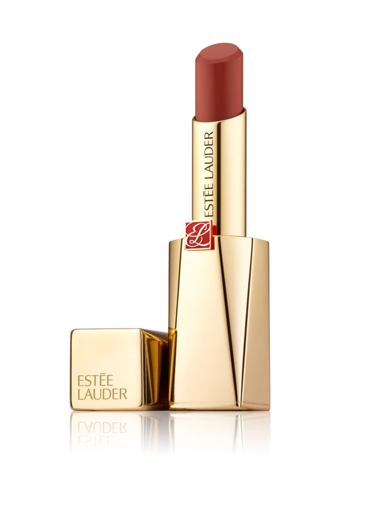 Pure Color Desire Matte Plus Lipstick Let Go