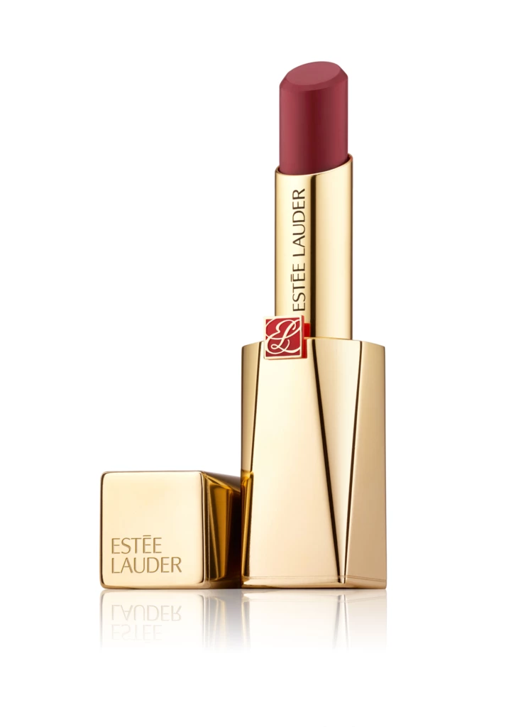 Pure Color Desire Matte Plus Lipstick Give In