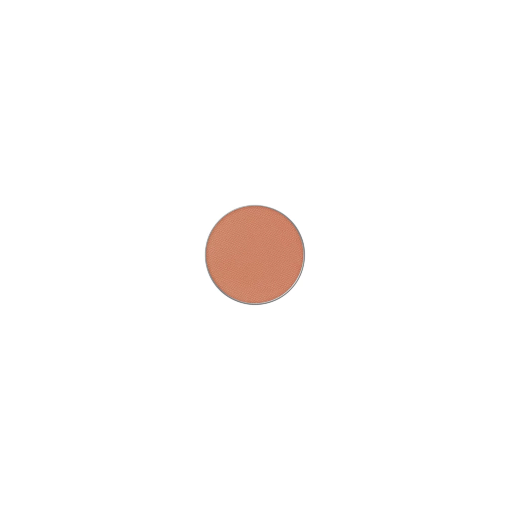 Powder Kiss Pro Palette Eye Shadow What Clout!