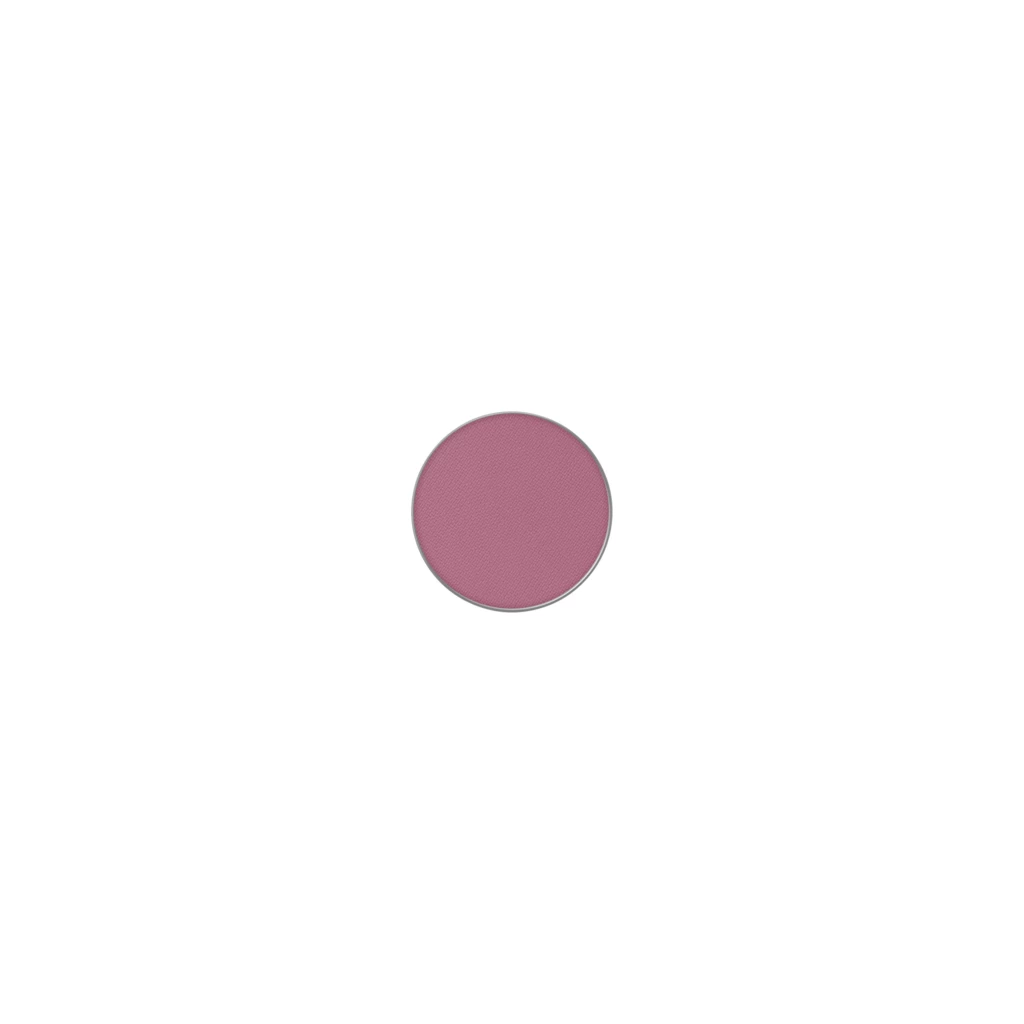 Powder Kiss Pro Palette Eye Shadow Ripened