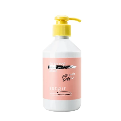 The Silver Conditioner 300 ml
