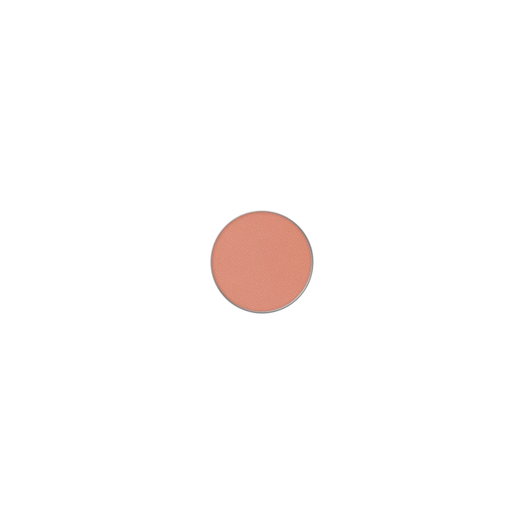 Powder Kiss Pro Palette Eye Shadow My Tweedy